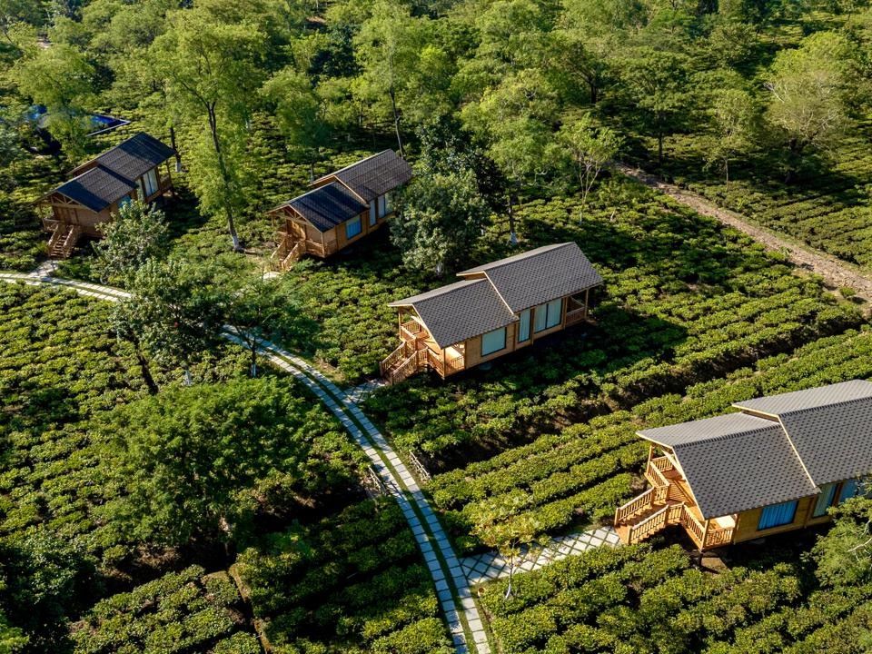 Experience Northeast India Like Never Before at The Postcard in the Durrung Tea Estate, Assam